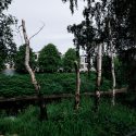 Navigating environmental impact: Ella Pound