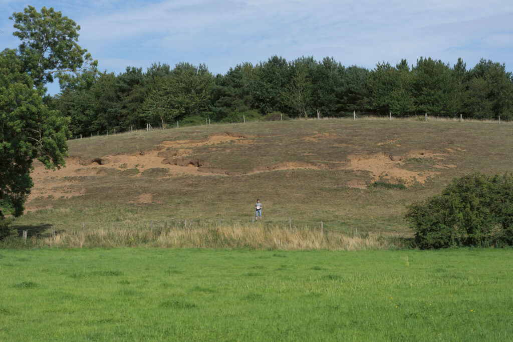 A landscape with a small figure stood in the middle holding an object that can't be made out