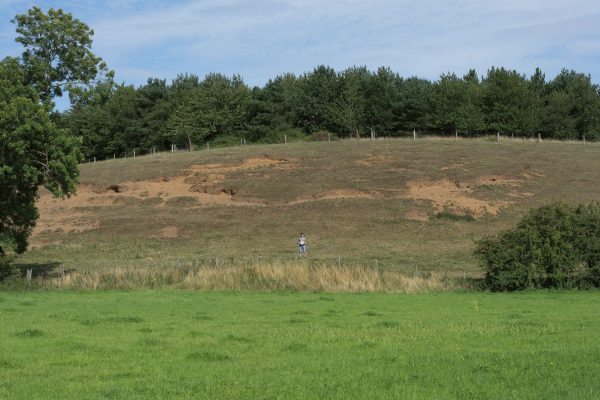 A landscape with a small figure stood in the middle holding an object that can't be made out